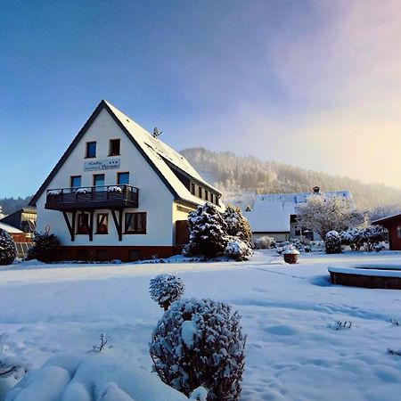 Landhaus Stremme Willingen  Exterior photo